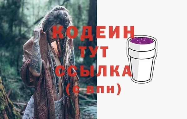 дмт Бородино